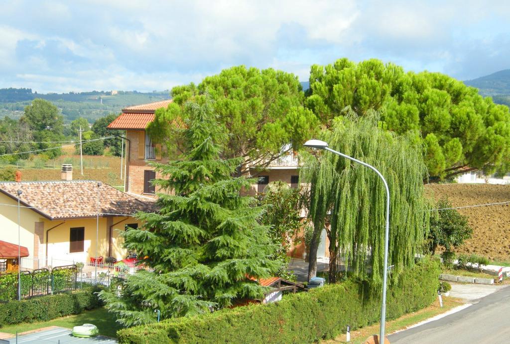 Fiorella