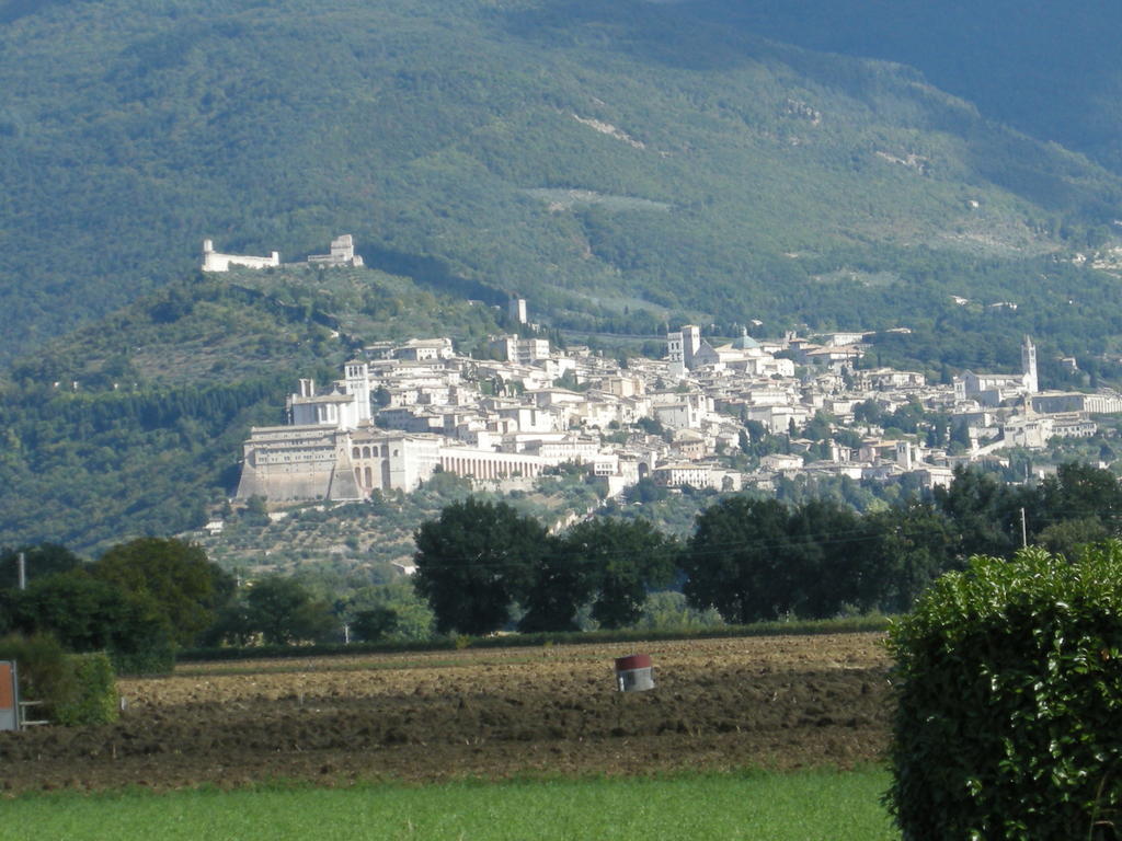Apartment Fiorella *
